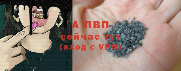 гашик Снежногорск