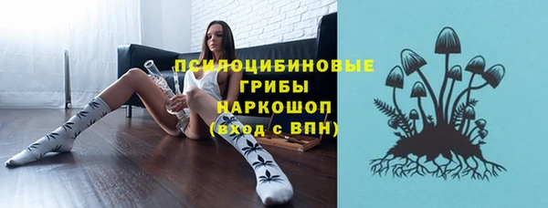 мдпв Снежинск