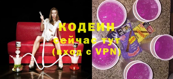 гашик Снежногорск
