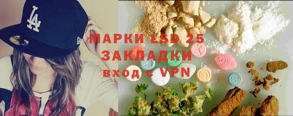 гашик Снежногорск