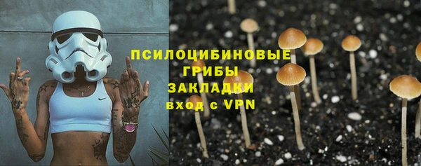мдпв Снежинск